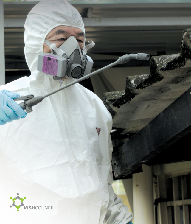 Effective Strategies for the Safe Management and Removal of Asbestos