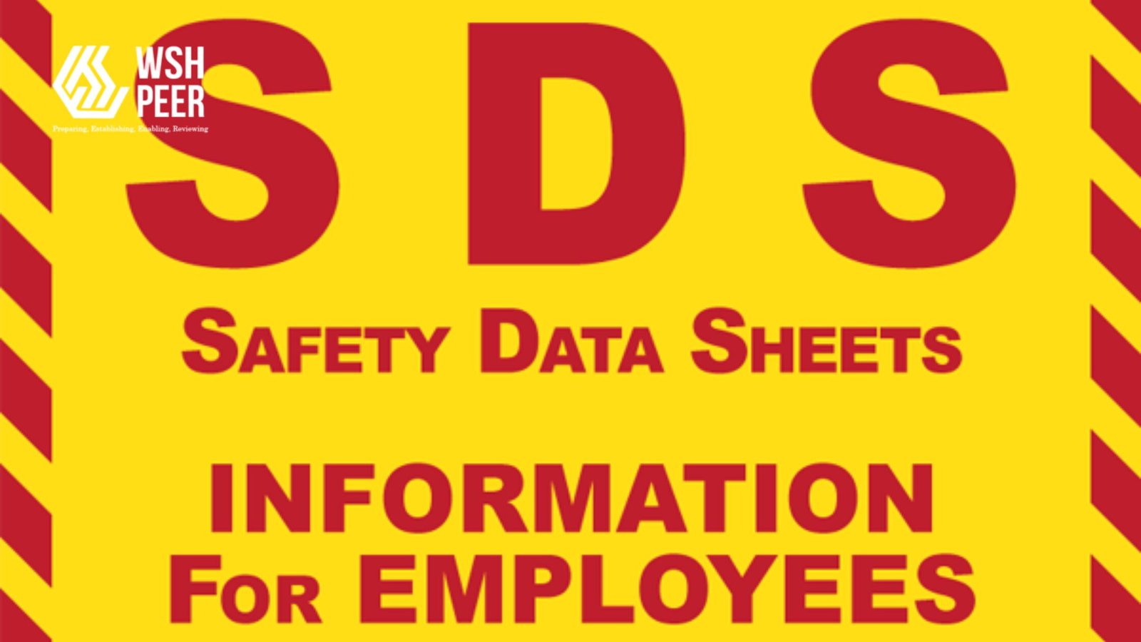 Enhancing Chemical Safety in High-Risk Industries with PEER