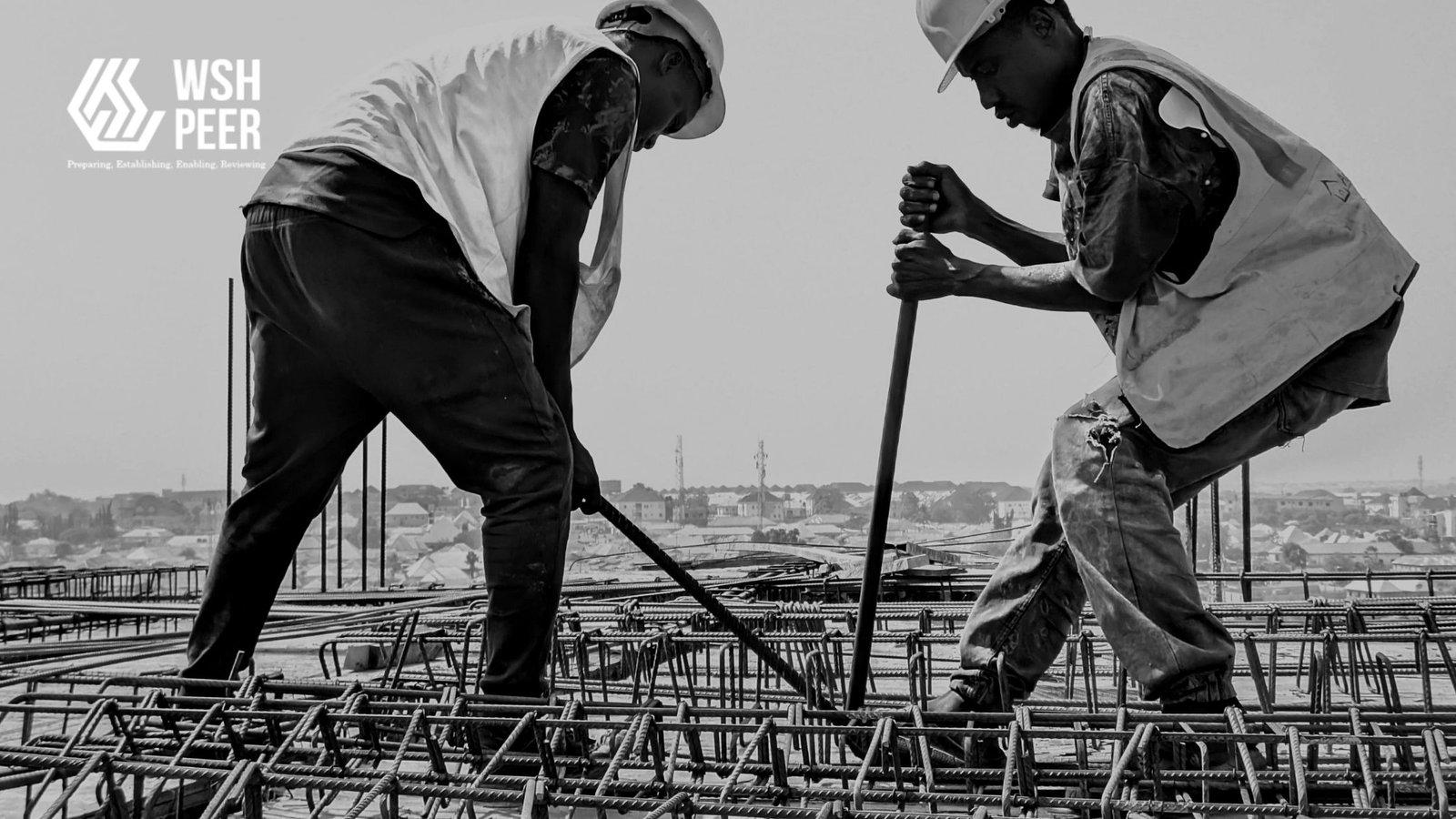 Enhancing Workplace Safety Culture with PEER: A Strategic Approach