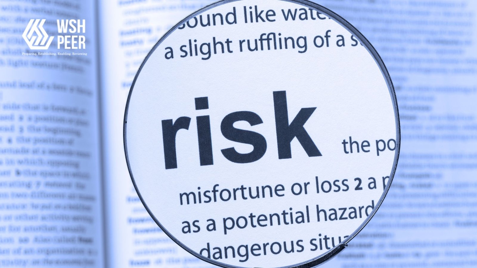 Managing Risks in Logistics: The Role of PEER in Workplace Safety